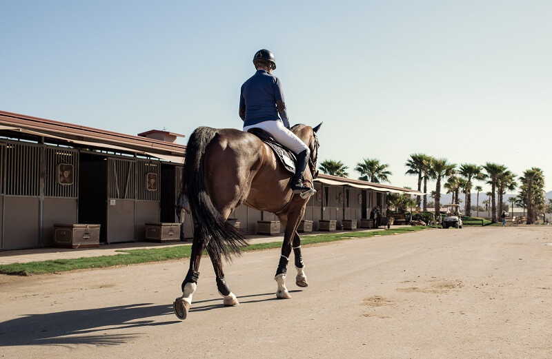 Cavalier à cheval dans une écurie